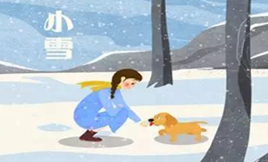 安氏亞森板材：小雪丨花開天下暖，葉落天下寒